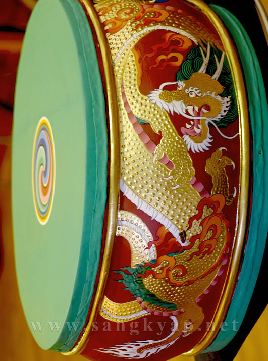 Golden dragon on the shell