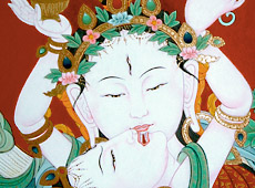 see the detail of Chime Phagma